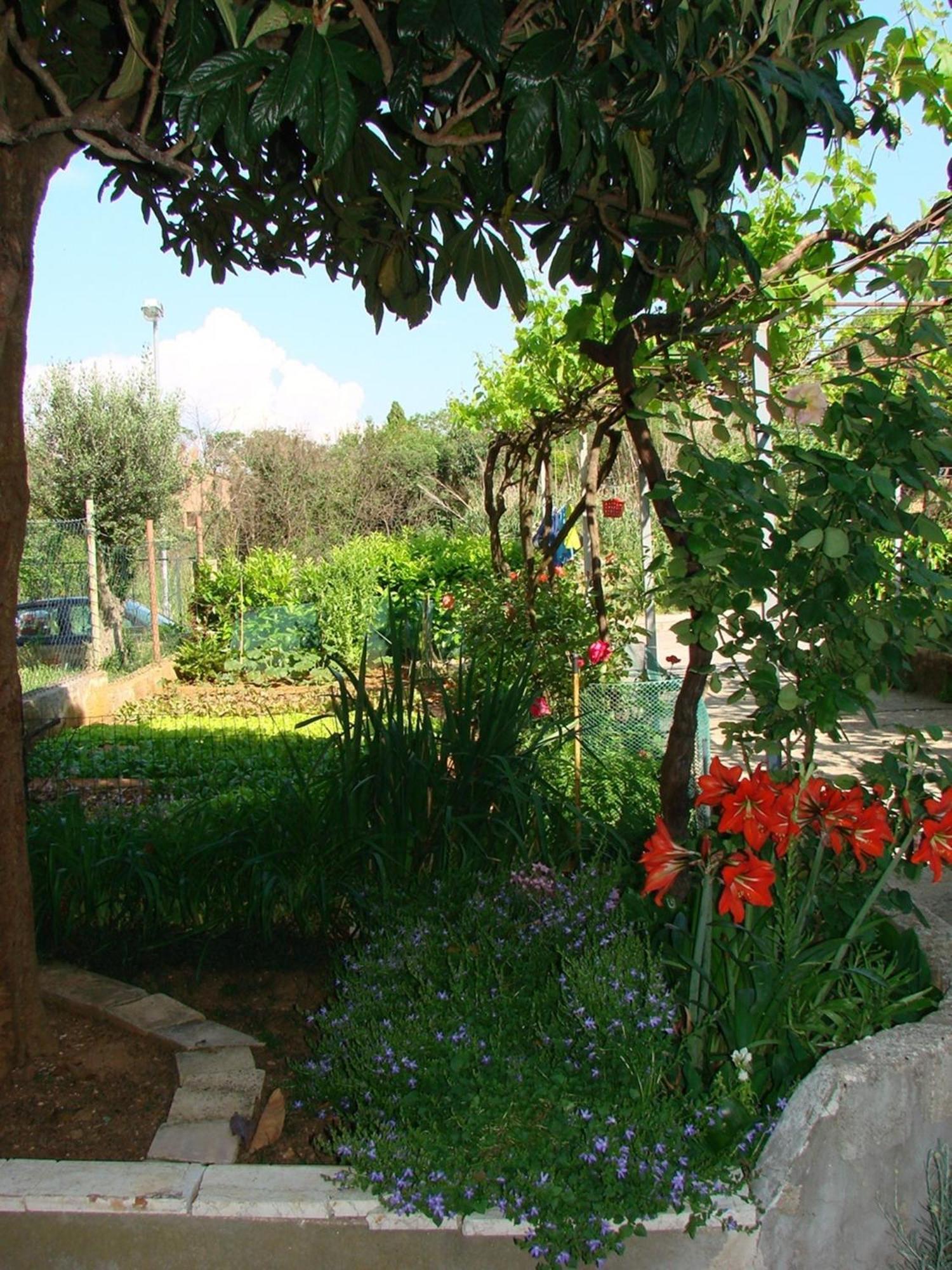 Apartment Milena Pula Oda fotoğraf