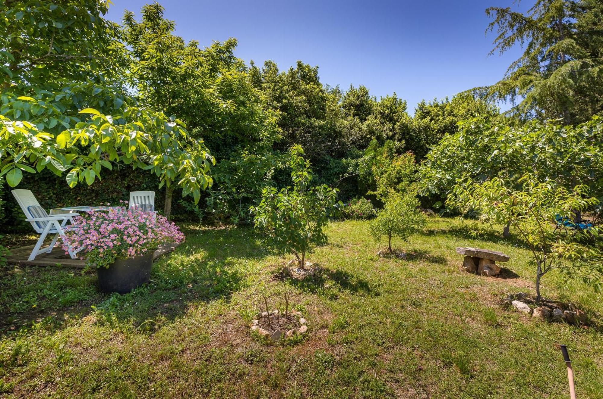 Apartment Milena Pula Dış mekan fotoğraf